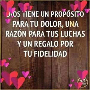 Meet your Posher, Elsa